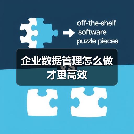 企业数据管理怎么做才更高效