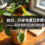 独游、玩家与夏日京都——HARRISONWORLD的BitSummit回顾(图3) 独游、玩家与夏日京都——HARRISONWORLD的BitSummit回顾(图3)