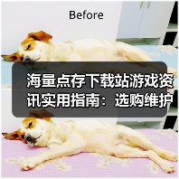海量点存下载站游戏资讯实用指南:选购维护与问题解析(图2) 海量点存下载站游戏资讯实用指南:选购维护与问题解析(图2)