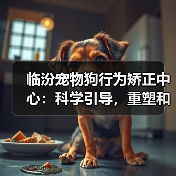 临汾宠物狗行为矫正中心:科学引导,重塑和谐共生(图3) 临汾宠物狗行为矫正中心:科学引导,重塑和谐共生(图3)