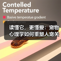 读懂它,更懂爱:宠物心理学如何重塑人宠关系(图4) 读懂它,更懂爱:宠物心理学如何重塑人宠关系(图4)