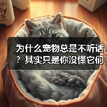 比盐粒还小的自主机器人，成本仅1美分如何实现？