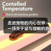 走进宠物的内心世界：一场关于爱与理解的直播对话