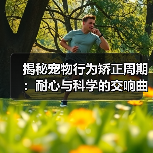 揭秘宠物行为矫正周期：耐心与科学的交响曲（图3）
