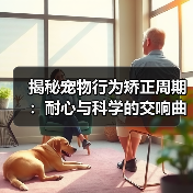 揭秘宠物行为矫正周期：耐心与科学的交响曲（图4）