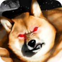 肌肉柴犬正版 v1.41安卓版
