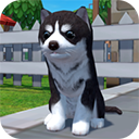 美国zoom动物游戏 v1.0.380安卓版