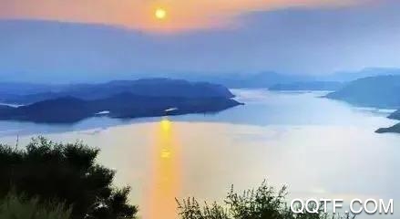 掌上孟津客户端